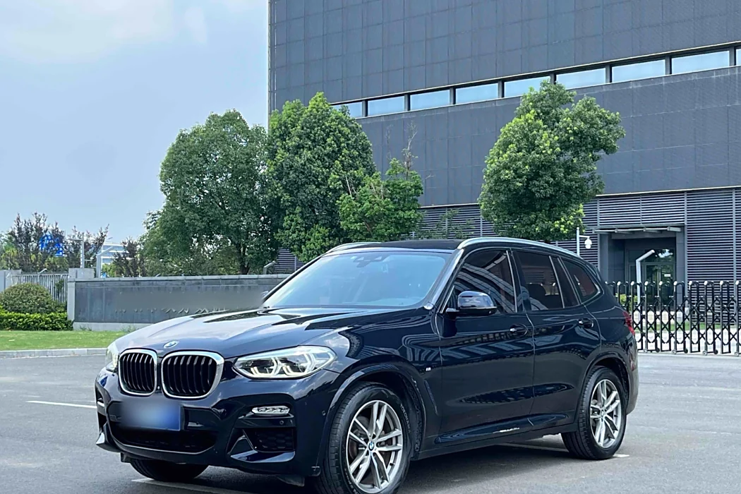 BMW X3 2018 xDrive25i M Sport Package National VI