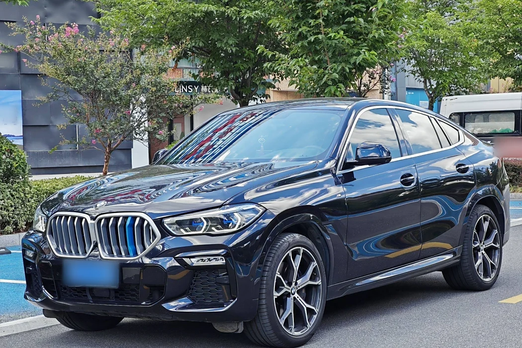 BMW X6 2021 Modified xDrive40i Premium M Sport Package