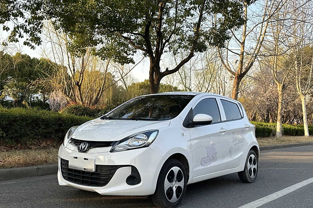 Changan Auchan Benben E-Star 2021 National Version Xinyue Version (Fast Charge Version) Lithium Iron Phosphate (31.95kWh)
