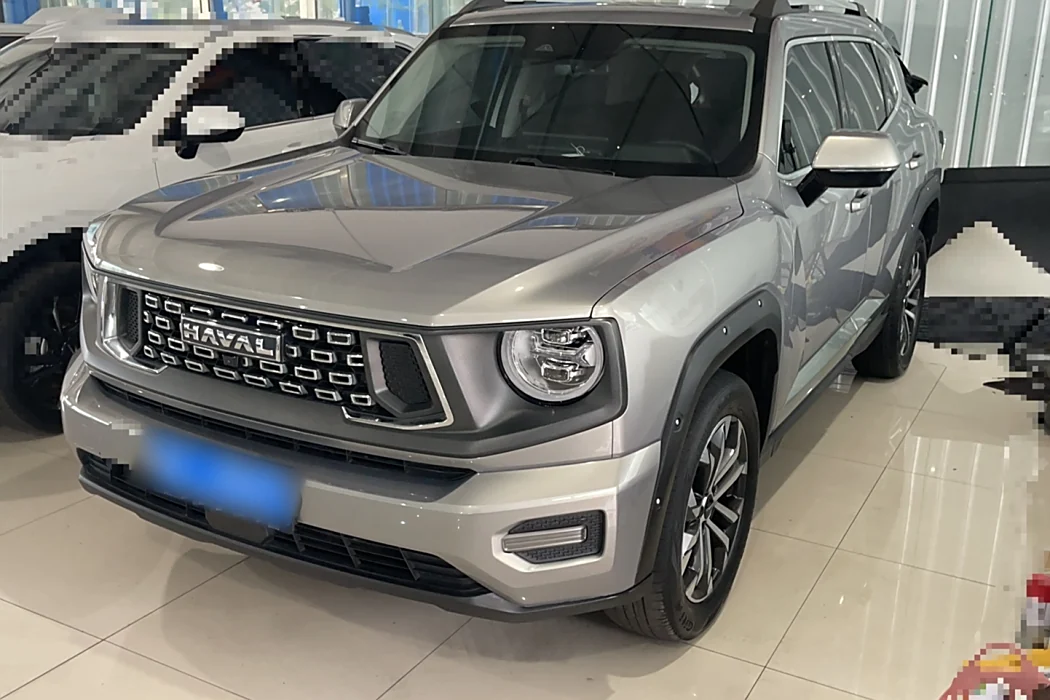 Havoc II Big Dog 2023 1.5T 2WD Tide Wild Plus