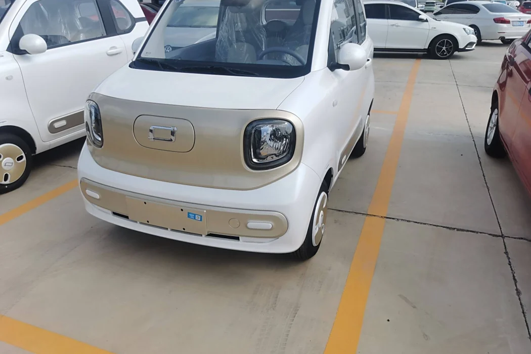 Pentium Pony 2025 222km Smart Horse