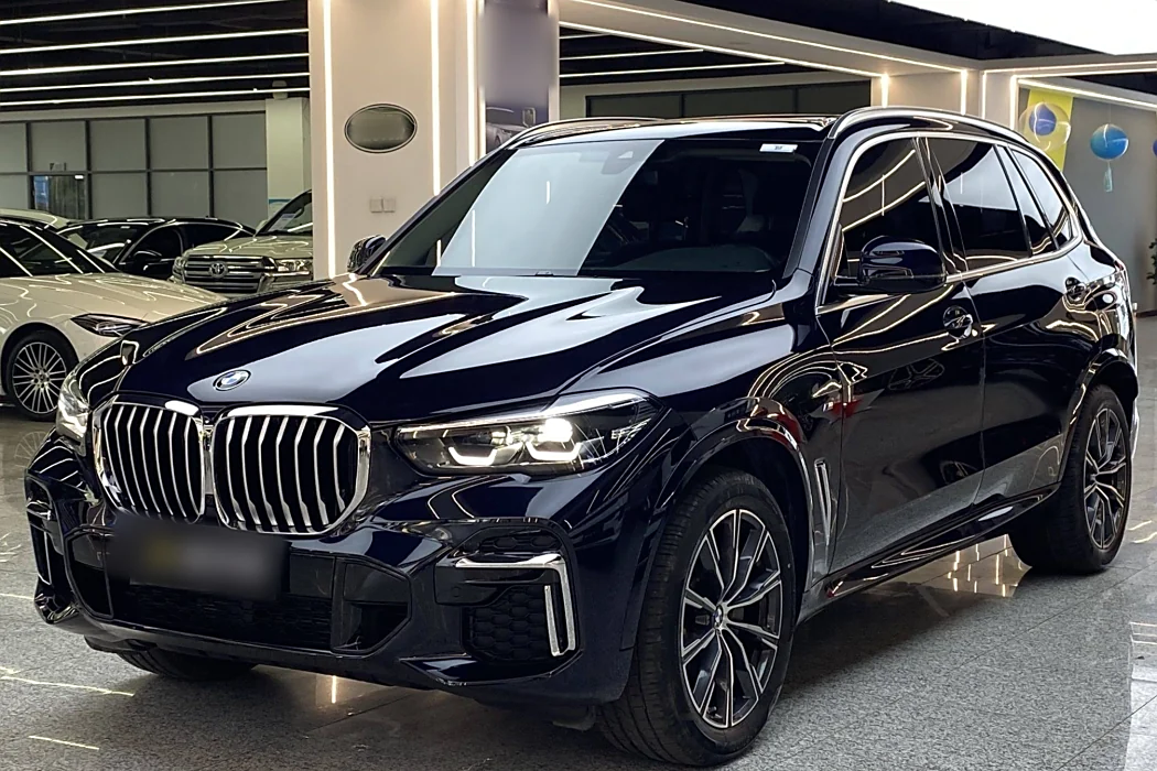 BMW X5 2022 Modified xDrive 30Li M Sport Package