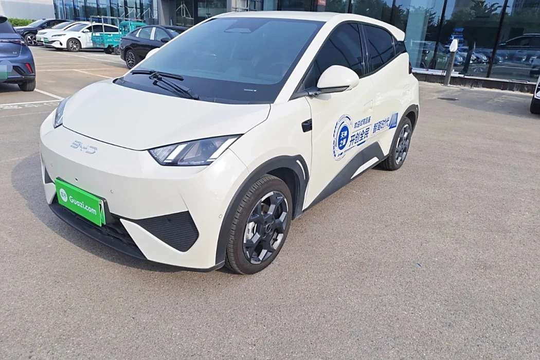 BYD Seagull 2025 Smart Driving Version 305km Free Version