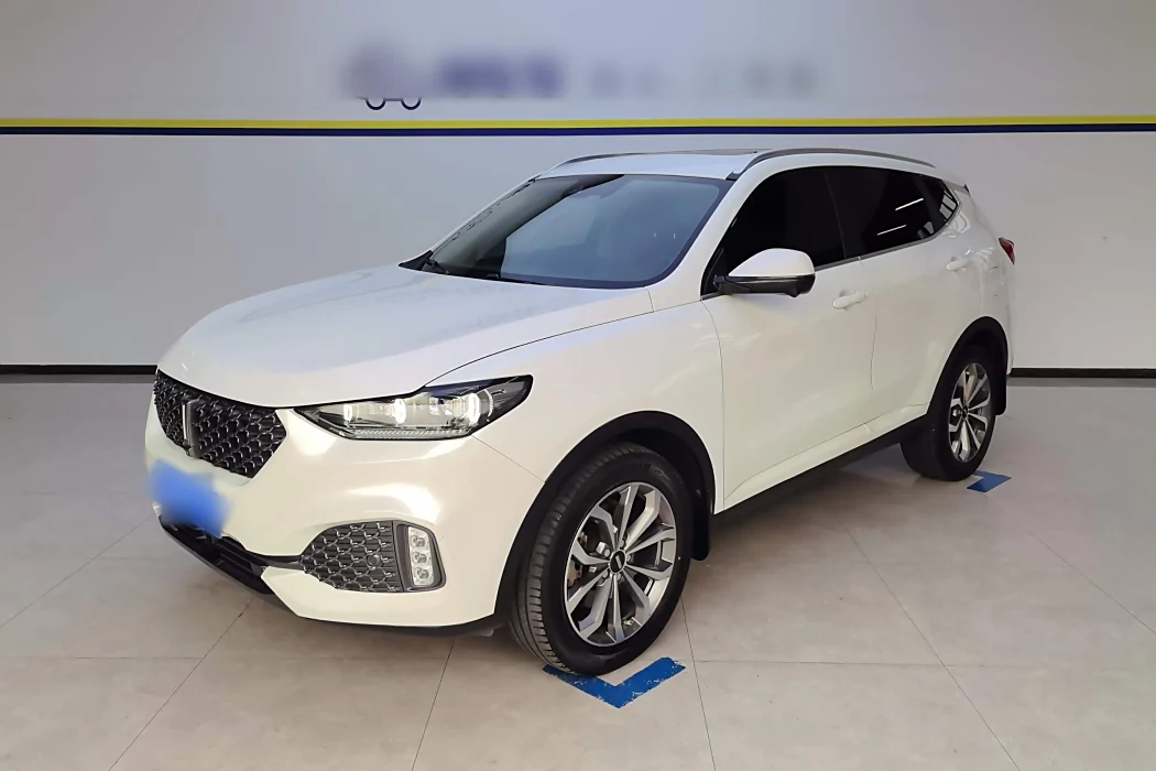 Wei brand VV6 2020 2.0T two-wheel drive smart enjoy+