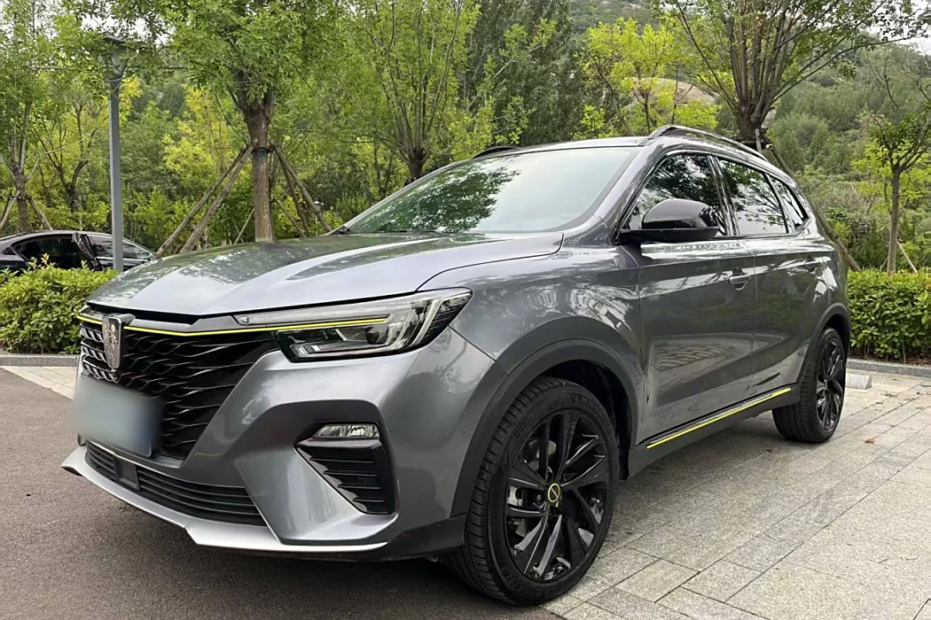 RX5 2020 PLUS 300TGI Auto Ali National Wave Luxury Edition