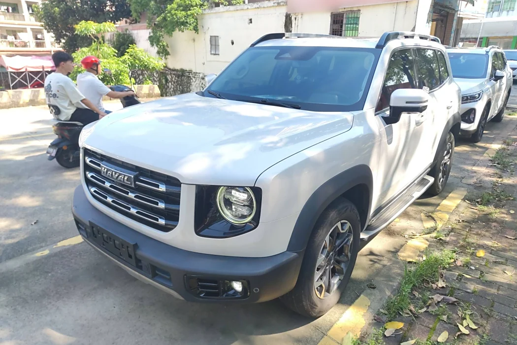 Havoc Big Dog 2021 2.0T DCT 4WD Chinese Garden Dog Edition