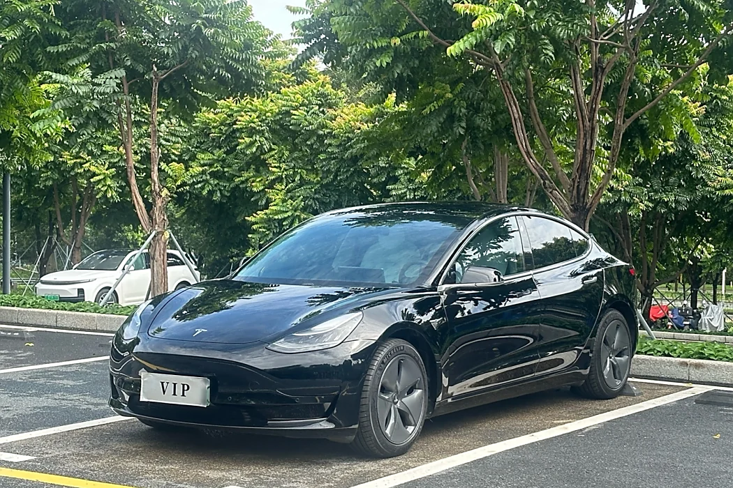Tesla Model 3 2020 Modified Standard Range Rear Drive Upgrade