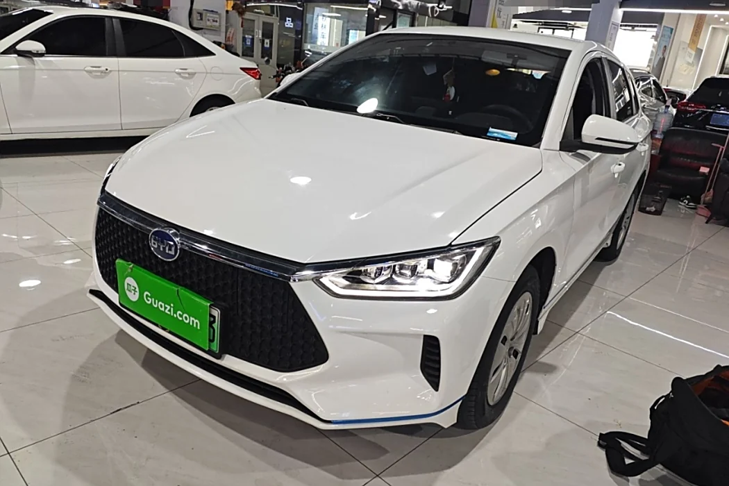 BYD e2 2020 Upgrade Standard Range Standard