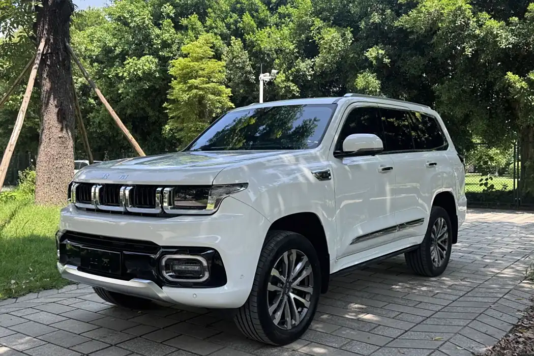 Beijing BJ60 2022 model 2.0T Eleventh edition five-seater