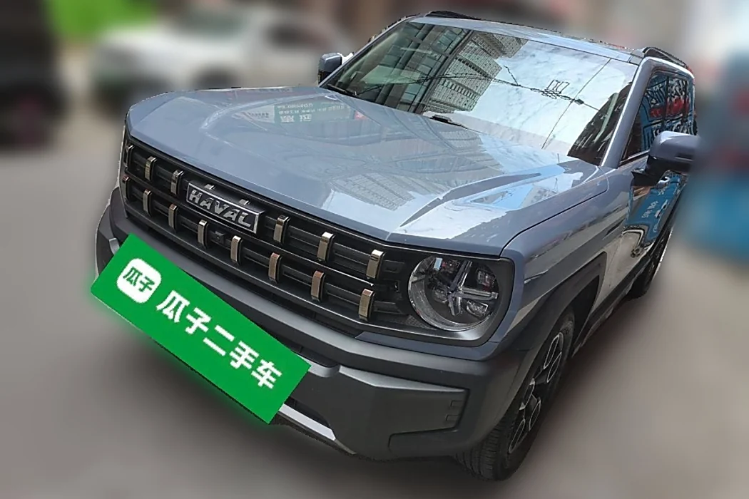 Havoc Cool Dog 2022 1.5T DCT 4WD Tide Wild Edition