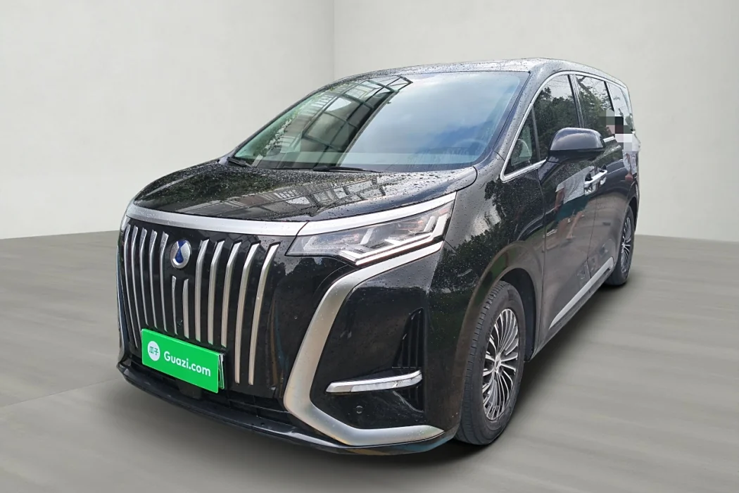 Denza D9 2022 EV 600 four-wheel drive premium type