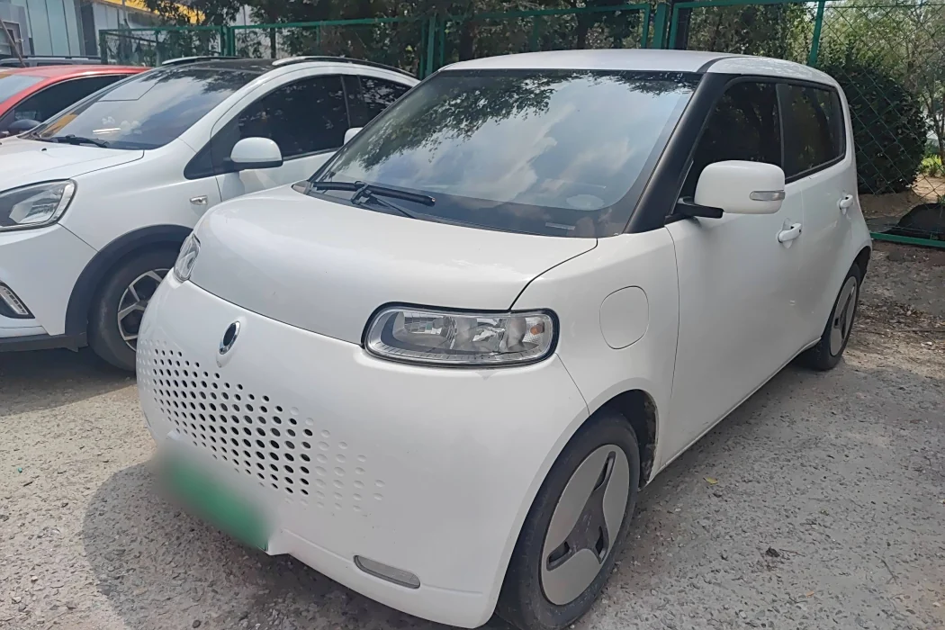 Euler White Cat 2020 Model 360km Standard Type