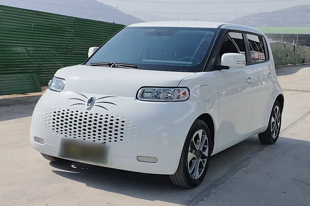 Euler White Cat 2020 Model 305km Luxury Type