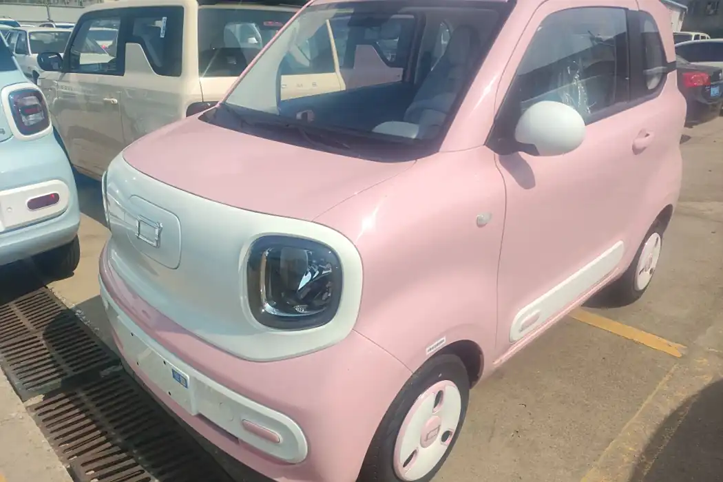 Pentium Pony 2025 222km Smart Horse