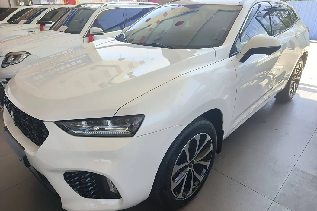 Wei brand VV7 2019 upgraded 2.0T Super Luxury National V