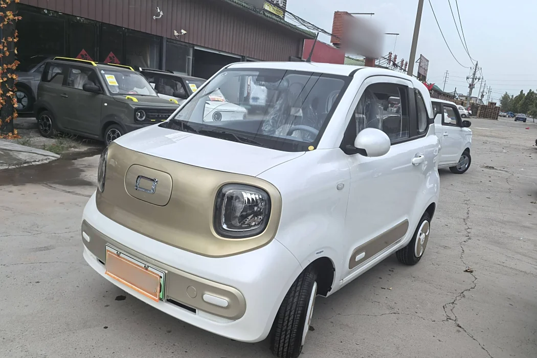 Pentium Pony 2025 222km Smart Horse