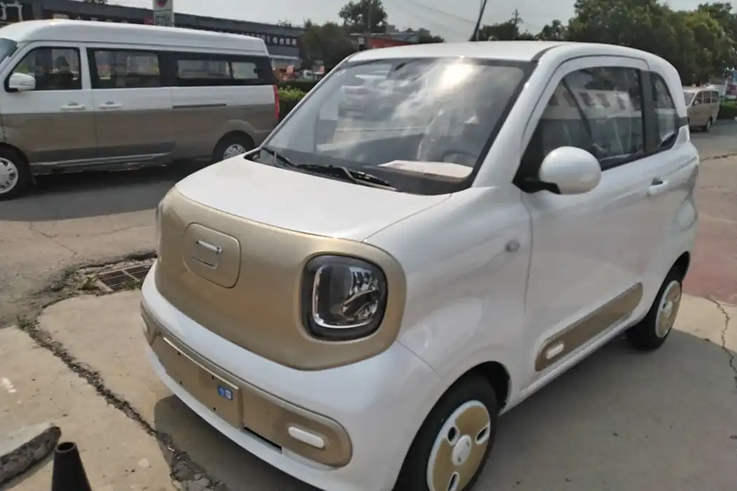 Pentium Pony 2025 222km Smart Horse