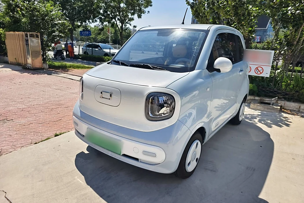Pentium Pony 2025 222km Lightning Horse