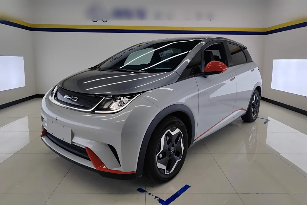 BYD Dolphin 2021 405km Free Version