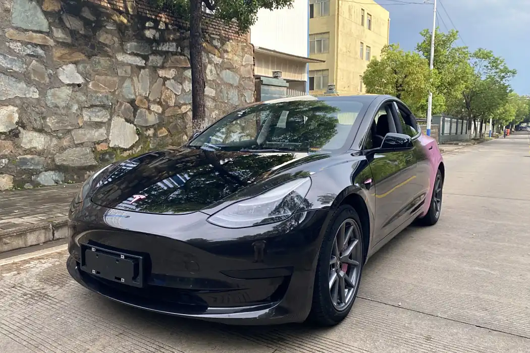 Tesla Model 3 2021 Standard Range Rear Drive Upgrade 3D6