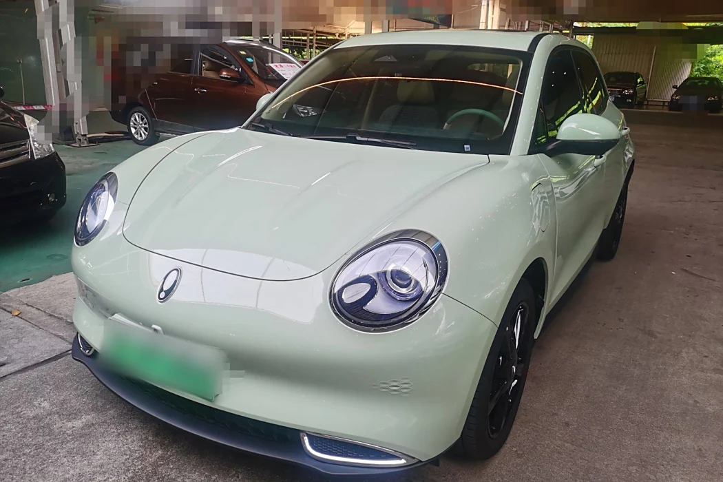 Euler Good Cat 2024 401km Luxury Type