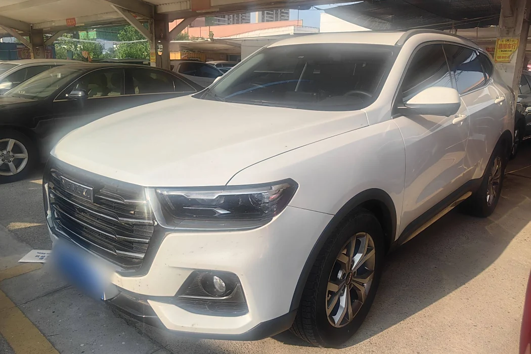 Haval H6 2021 National Tide Edition 1.5T Auto Champion Edition