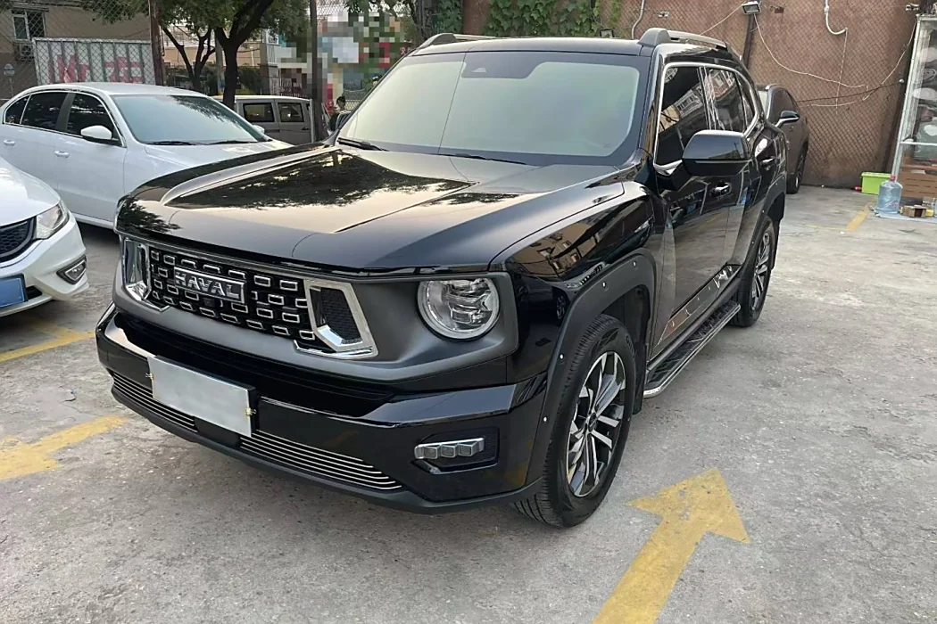 Havoc II Big Dog 2023 1.5T 2WD Tide Wild Plus