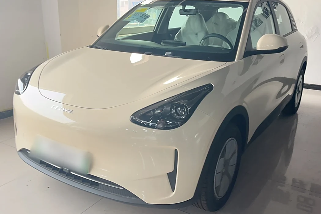 Geely Automobile Star Wish 2025 310km Youth Edition