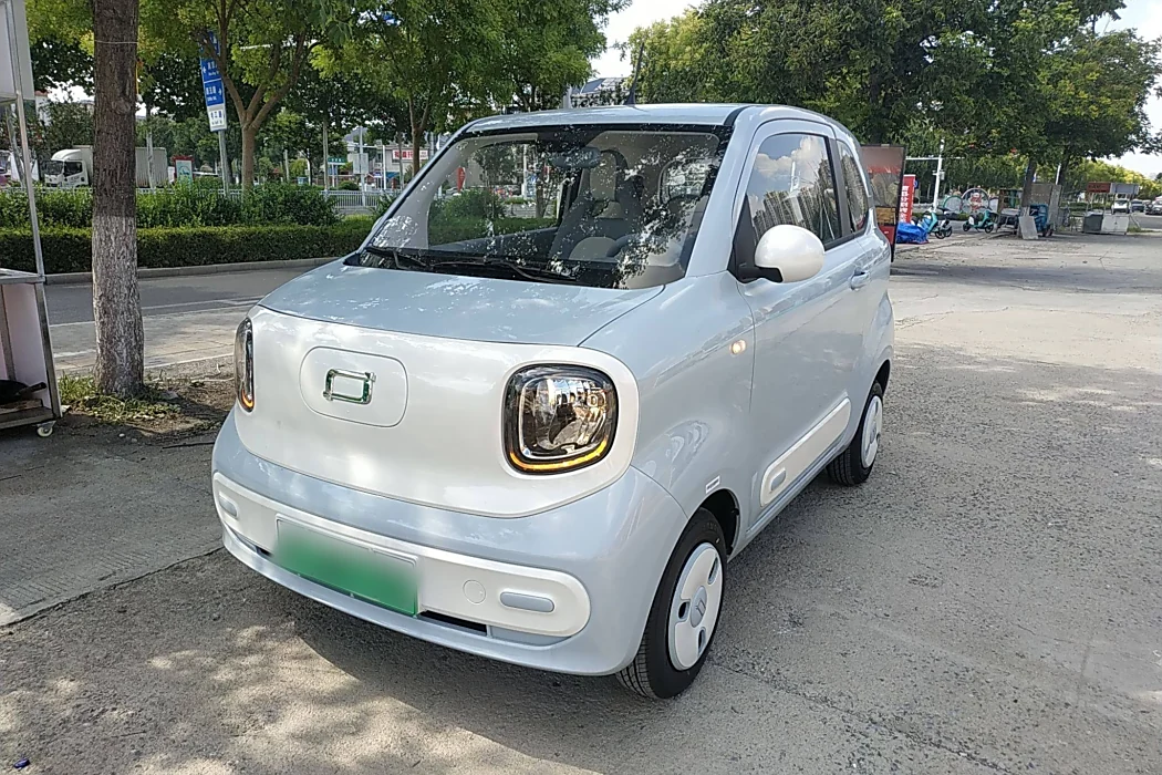 Pentium Pony 2025 222km Smart Horse