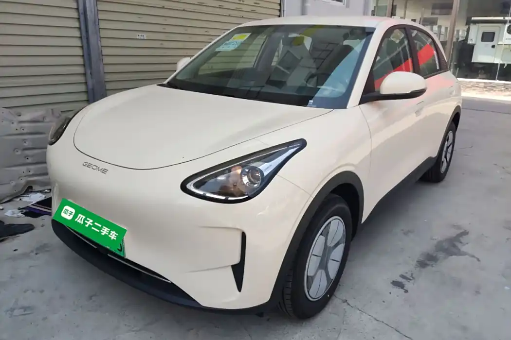 Geely Automobile Star Wish 2025 310km Youth Edition