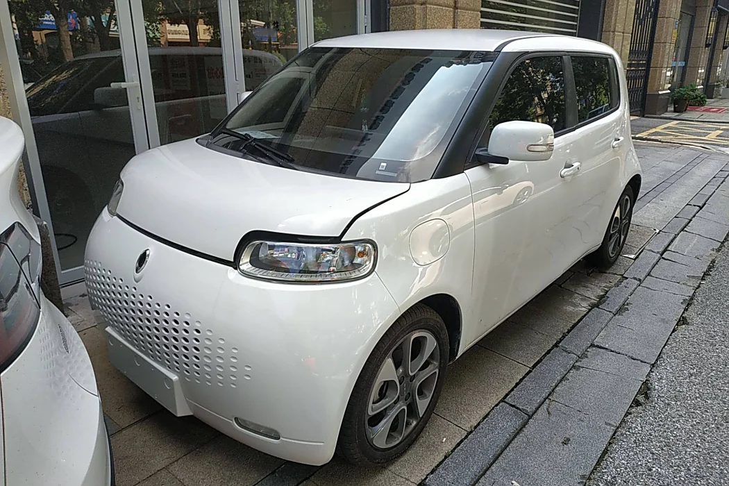 Euler White Cat 2022 upgraded version of 305km luxury ternary lithium