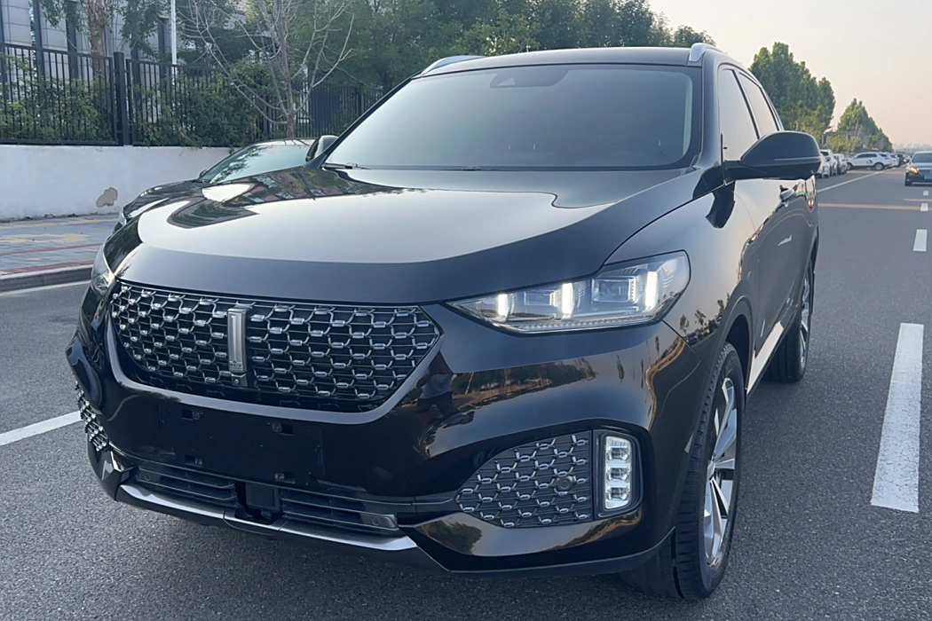 Wei VV6 2020 2.0T 2WD Intelligent Care+