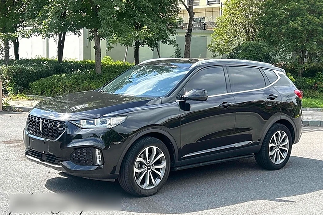 Wei brand VV6 2019 2.0T two-wheel drive super luxury country VI