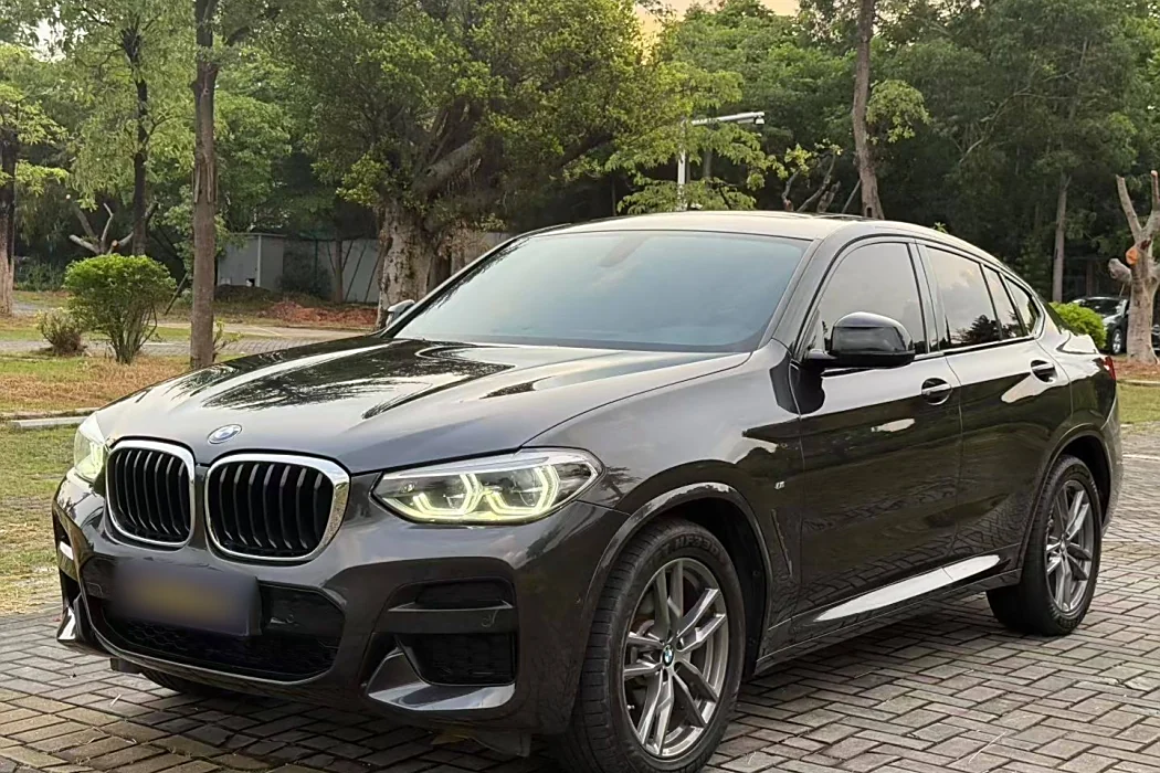BMW X4 2019 xDrive25i M Sport Package