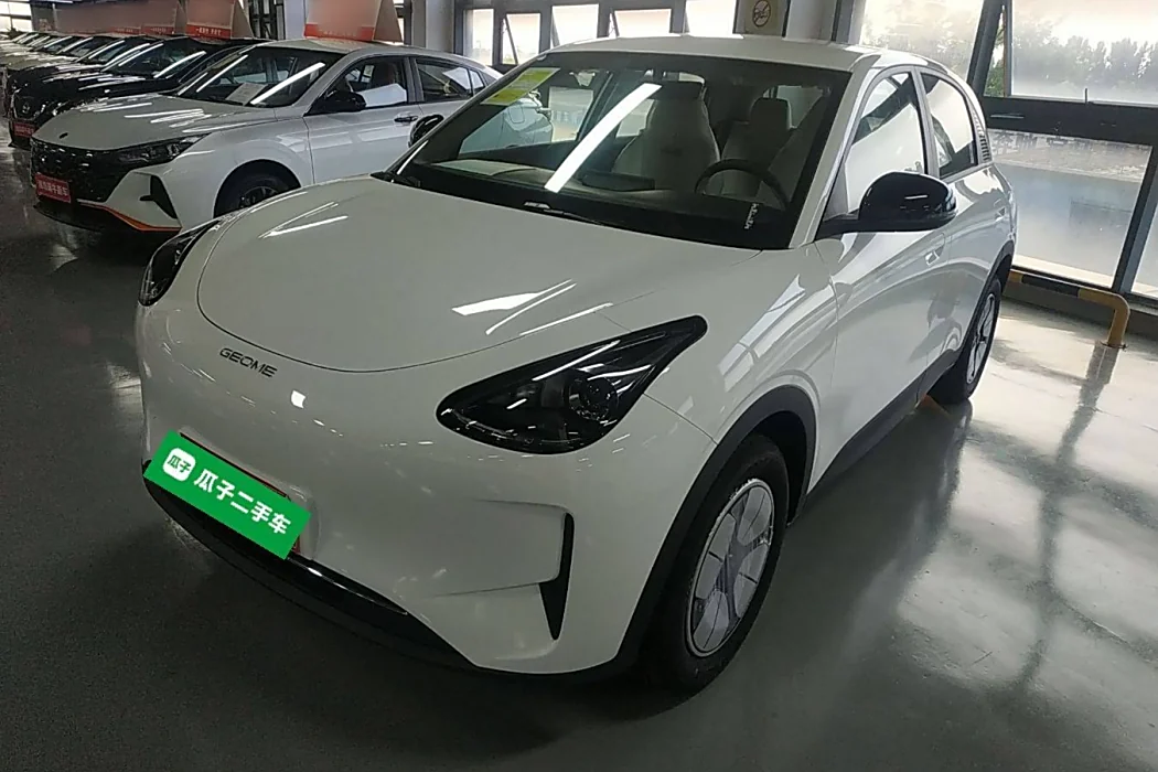 Geely Automobile Star Wish 2025 310km Youth Edition