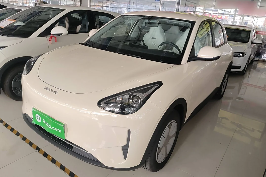 Geely Automobile Star Wish 2025 310km Youth Edition