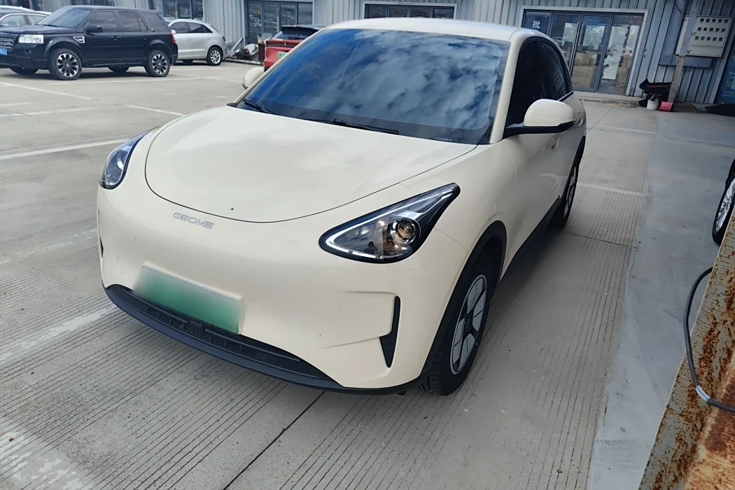 Geely Automobile Star Wish 2025 310km Youth Edition