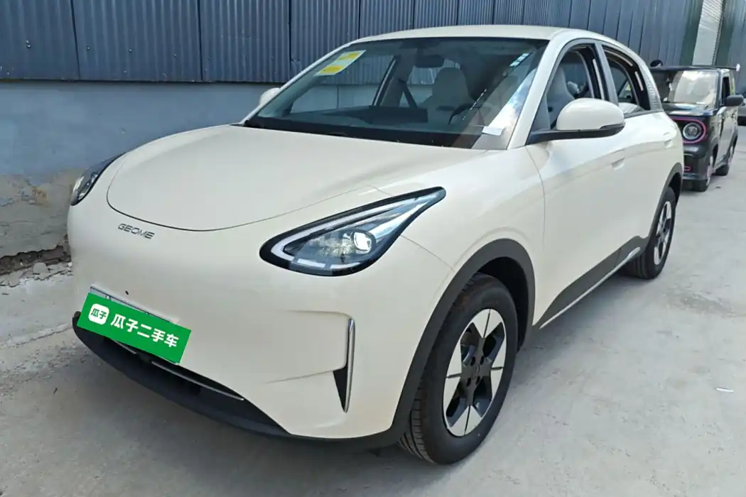 Geely Automobile Star Wish 2025 310km Dream Edition