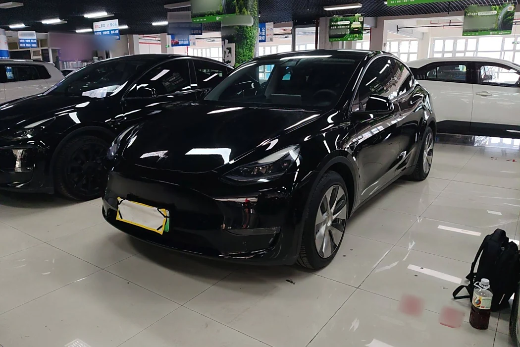Tesla Model Y 2021 Standard Range Rear Drive