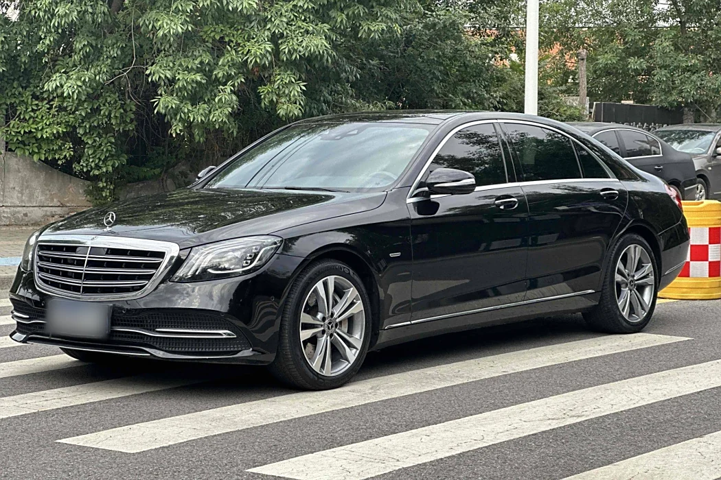 Mercedes-Benz S-Class 2020 S 350 L Premium Pegasus Edition