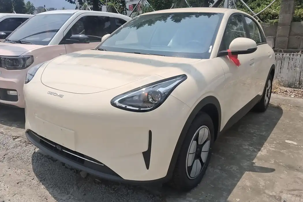 Geely Automobile Star Wish 2025 310km Youth Edition