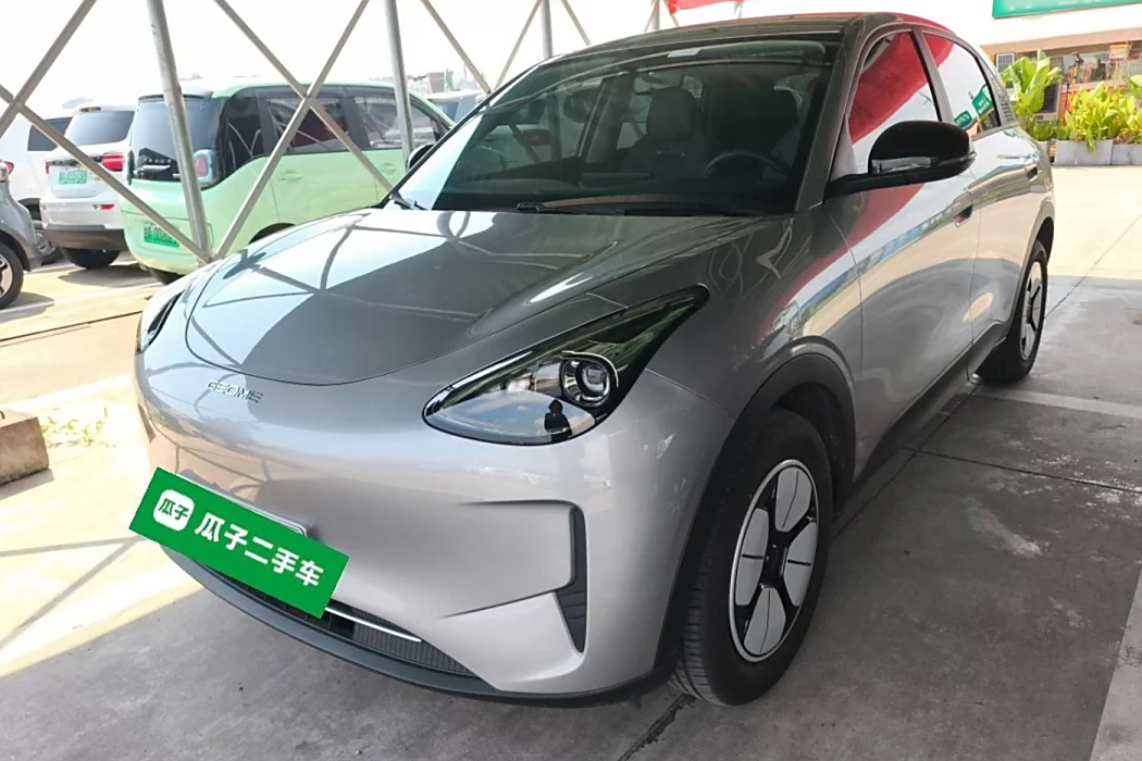 Geely Automobile Star Wish 2025 310km Youth Edition