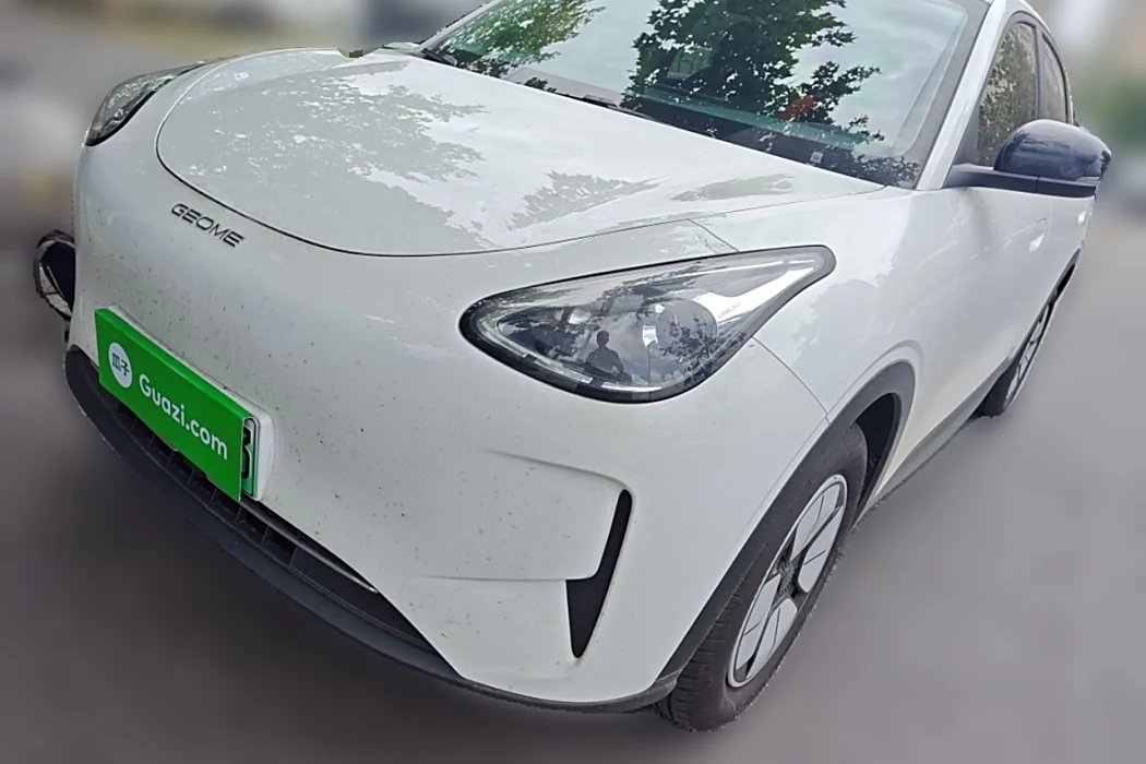 Geely Automobile Star Wish 2025 310km Youth Edition