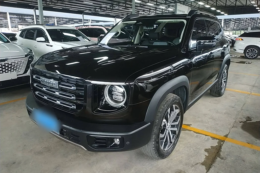 Havoc Big Dog 2021 1.5T DCT 2WD Border Ranch Edition