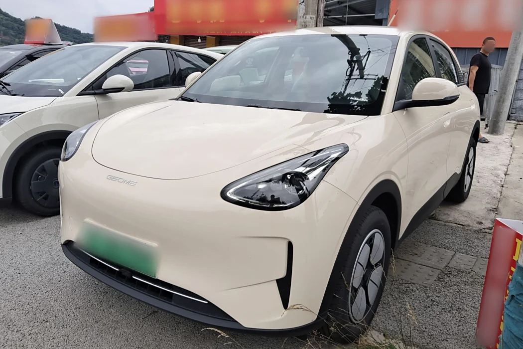 Geely Automobile Star Wish 2025 310km Youth Edition