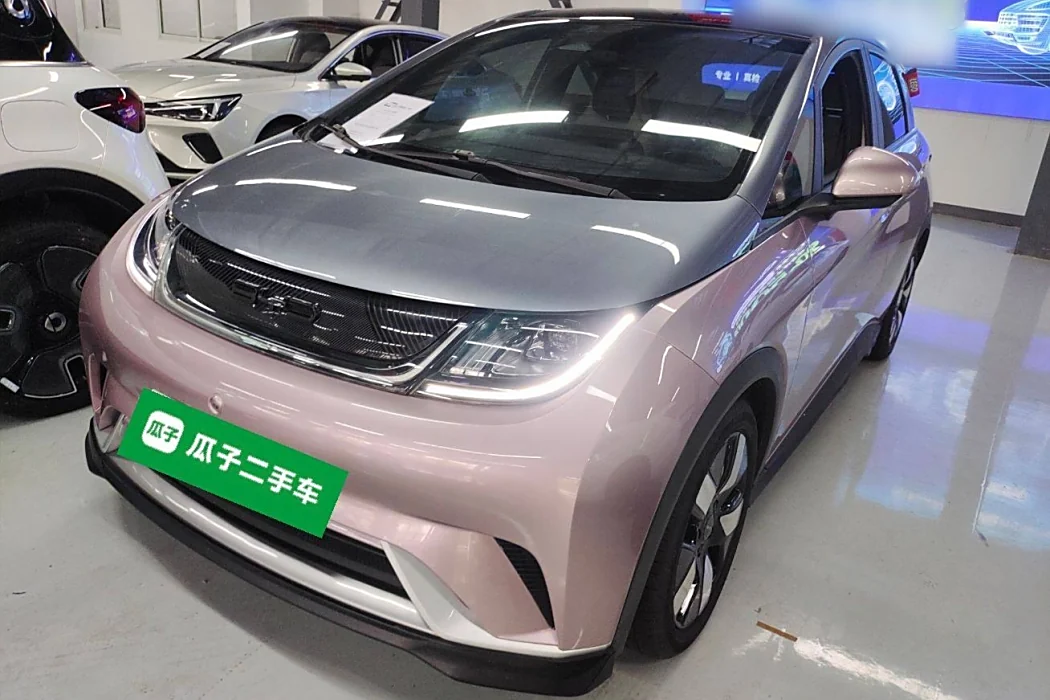 BYD Dolphin 2021 401km Knight Edition