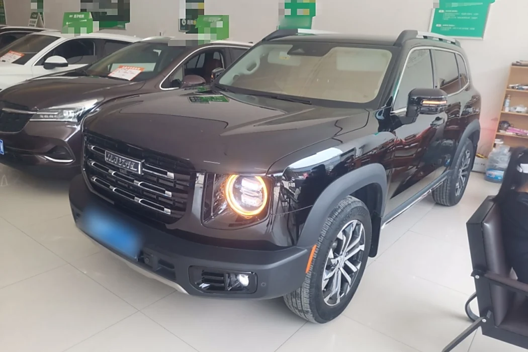 Haval Big Dog 2022 2.0T DCT Two-wheel drive Chinese Hound Edition
