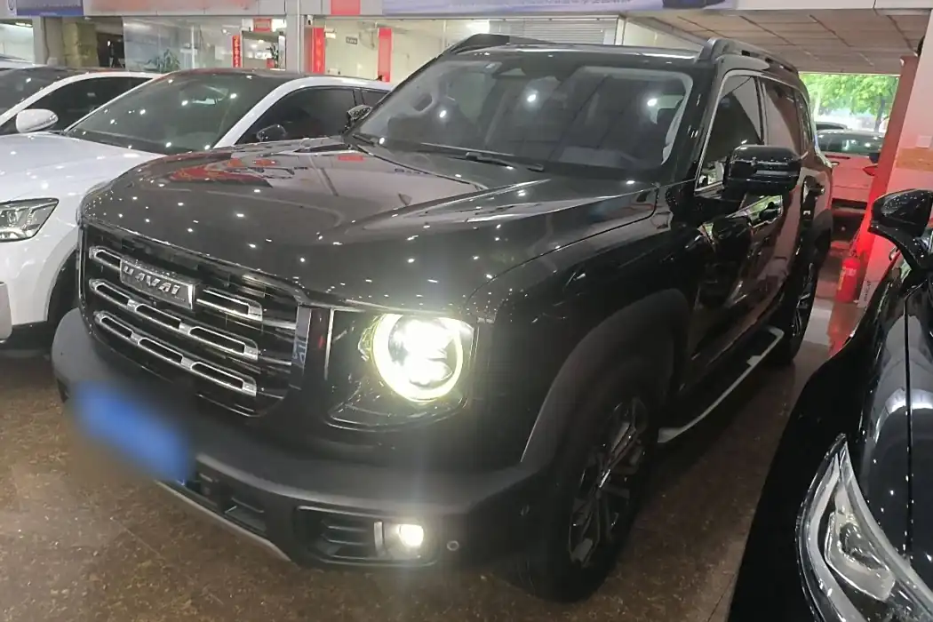 Havoc Big Dog 2021 1.5T DCT 2WD Horse Dog Edition