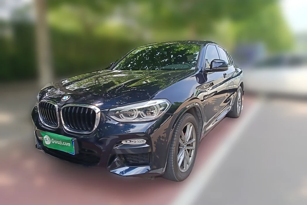 BMW X4 2019 xDrive25i M Sport Package