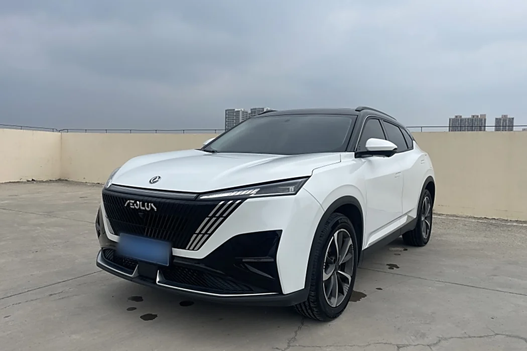 Dongfeng Fengshen Haohan 2023 1.5T Deluxe Edition